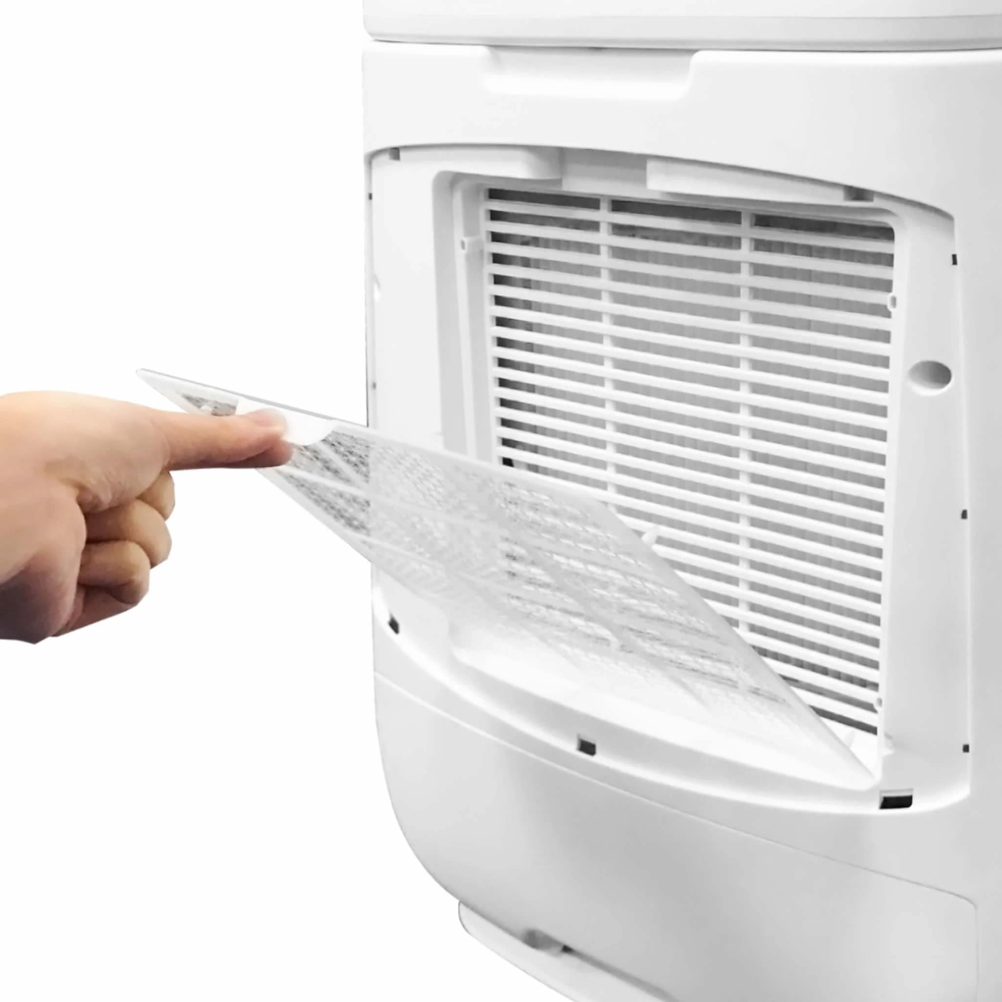 EcoAir DD3 Classic MK3 review — EcoAir